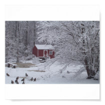 A Ducky Christmas posters