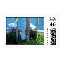 A Ducky Illusion postage