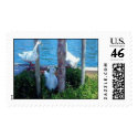 A Ducky Illusion postage
