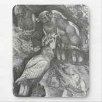 A. E. Brehm - Leadbeater Cockatoos mousepads
