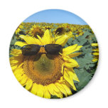 A Face in the Crowd Fridge Magnets