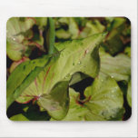 A Fairy Pool mousepads