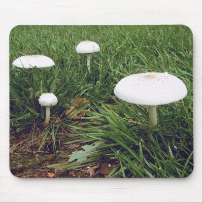 A Fairy Village Mouse Pad by Trebor43