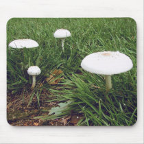 A Fairy Village mousepads