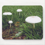 A Fairy Village Mouse Pad