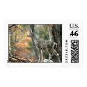 A Fall Stroll With a Deer postage by wildlifezoo A Fall Stroll With a Deer postage