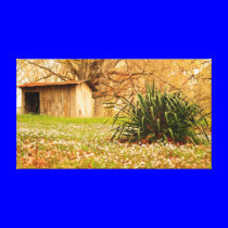 A Fall to remember canvas prints