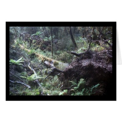 A fallen tree in the New Zealand Fiordland Cards by jupp