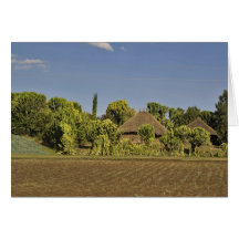 A farmed field in front of thatched roof houses cards