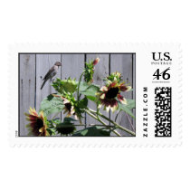 A Feast of Sunflower Seeds postage by charlesblack7 A Feast of Sunflower Seeds postage
