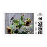 A Feast of Sunflower Seeds Postage