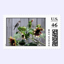 A Feast of Sunflower Seeds postage
