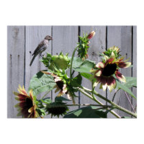 A Feast of Sunflower Seeds posters