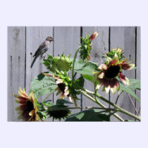 A Feast of Sunflower Seeds posters