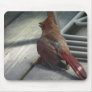 A Female Cardinal Mouse Pad