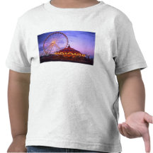 A ferris wheel and carousel at the Navy Pier in Tee Shirts