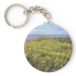 A Field Of Butter And Eggs Key Chain