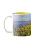 A Field Of Butter And Eggs Mug