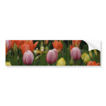 A field of peonies, cyclamens and tulips flowers bumper sticker