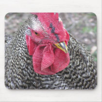 A Fine Feathered Face mousepads