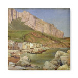 A Fishing Village at Capri Fridge Magnets