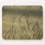 a fishy story mouse pads