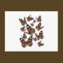 A Flight of Butterflies