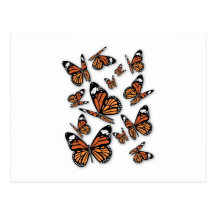 A Flight of Butterflies Postcards
