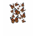 A Flight of Butterflies t-shirts by White_Wedding A Flight of Butterflies t-shirts