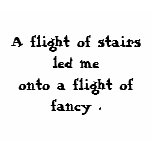 A flight of stairs led meonto a flight of fancy . t-shirts