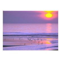 A Flock Of Birds In The Water Personalized Invitations