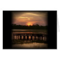 A Florida Sunset cards