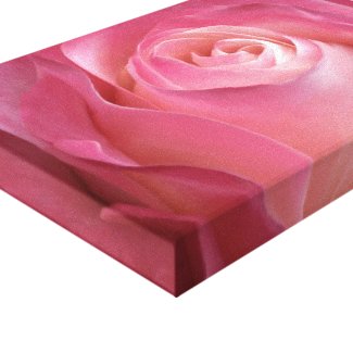 A Flower for my Love Canvas Print