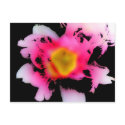 A Flower for Spring postcards by wories11 A Flower for Spring postcards