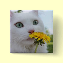 A Flower for You! buttons by JCatGarden A Flower for You! buttons