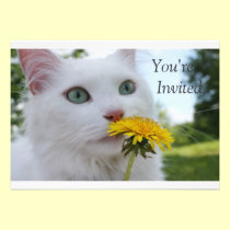 A Flower For You! invitations