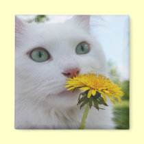 A Flower for You! magnets by JCatGarden A Flower for You! magnets