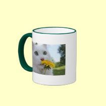 A Flower For You! mugs