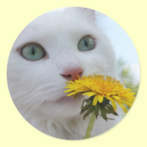 A Flower For You! stickers