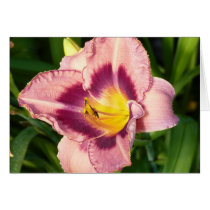 A flower in bloom cards