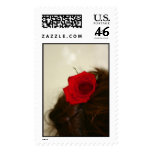 lioneyes, lion, eyes, lion eyes, rose, red rose,