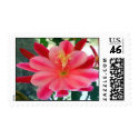 A flower in pink... postage