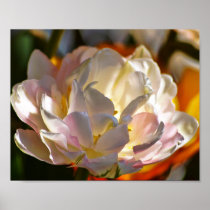 A Flower posters