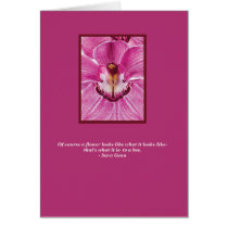 A Flower to a Bee cards