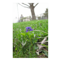 A Flower's Perspective Poster posters