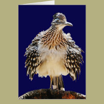A Fluffy Roadrunner cards