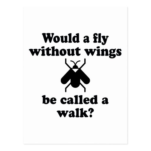 a-fly-without-wings-postcard-zazzle