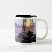A foggy day on the Oregon coast at the Heceta Mug