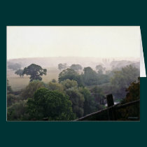 A Foggy English Field cards