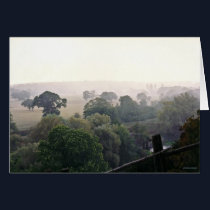 A Foggy English Field cards by iggymak A Foggy English Field cards